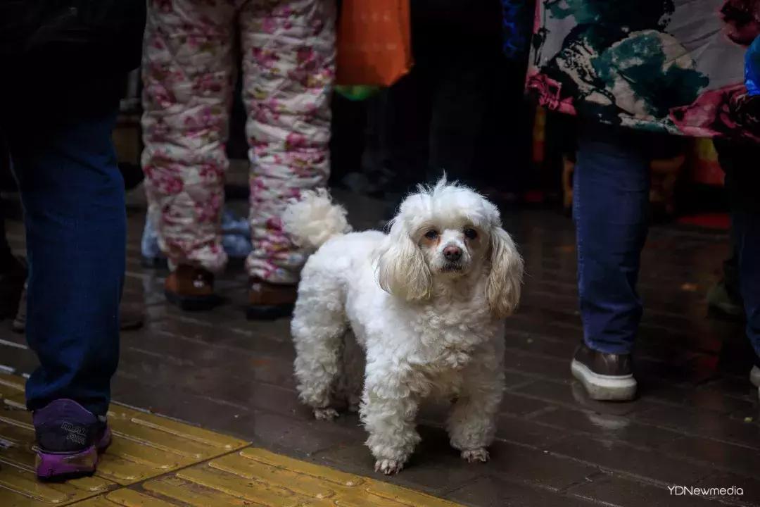 武汉人怎么表达感情的,武汉人不会说的话