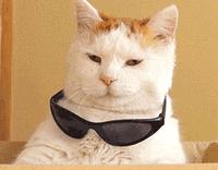 怎样选择国际班？做到这些家长其实不必太纠结