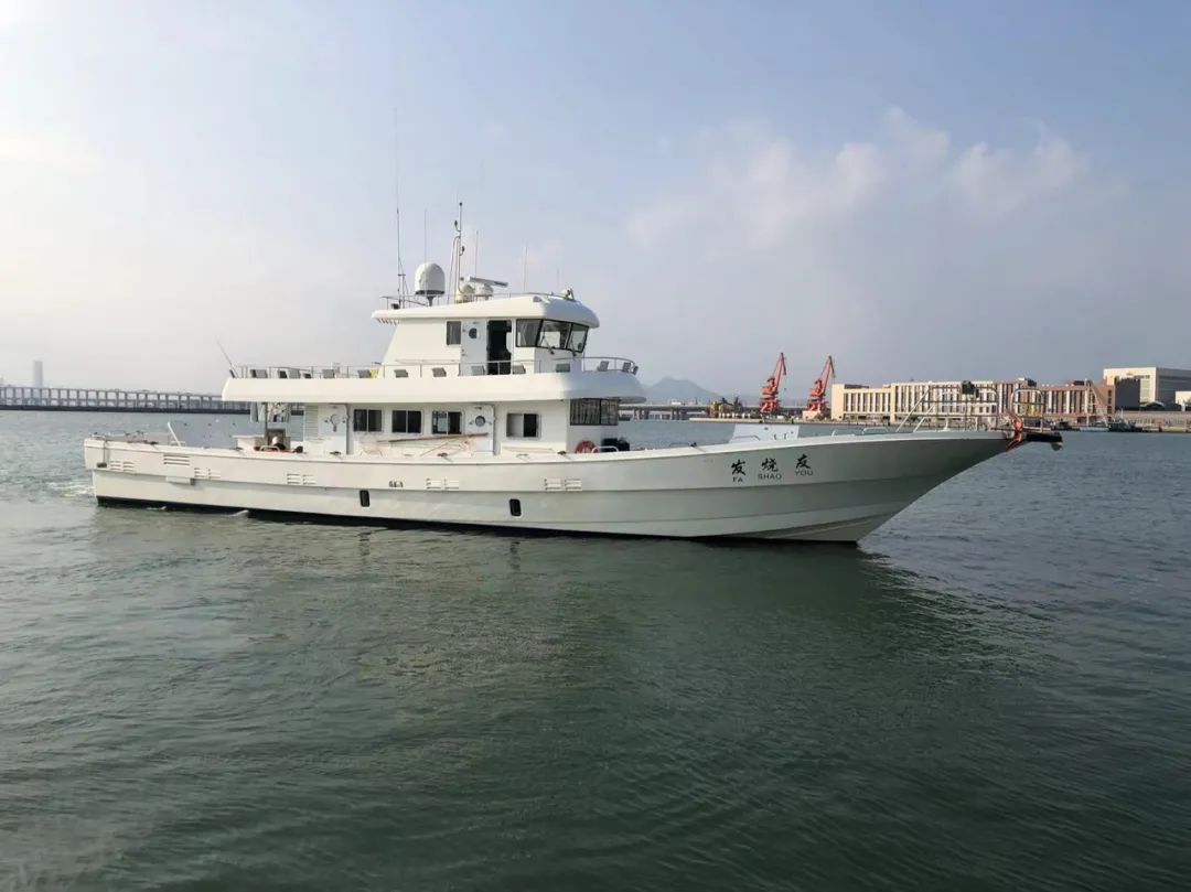 野奢不被鄙视？问问那些爱钓鱼的老孩子们，他们有活蹦乱跳的经验