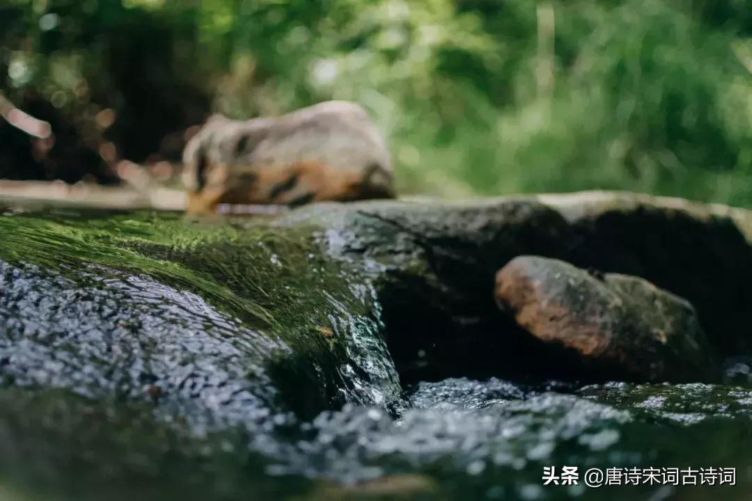 古诗喝茶的绝美诗句,诗词世上无难事