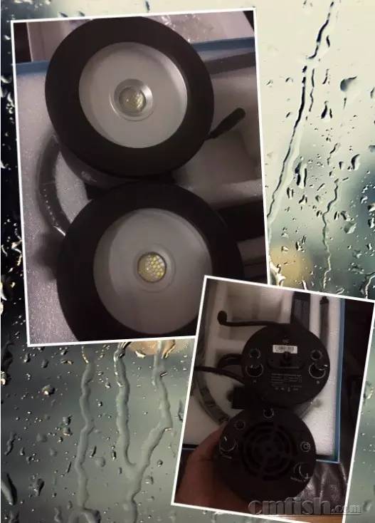 KELO钜彩照明LED水族灯试用活动鱼友评测详情(二)