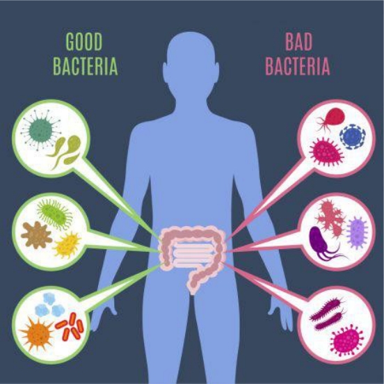 便秘选择什么益生菌,儿童益生菌选择