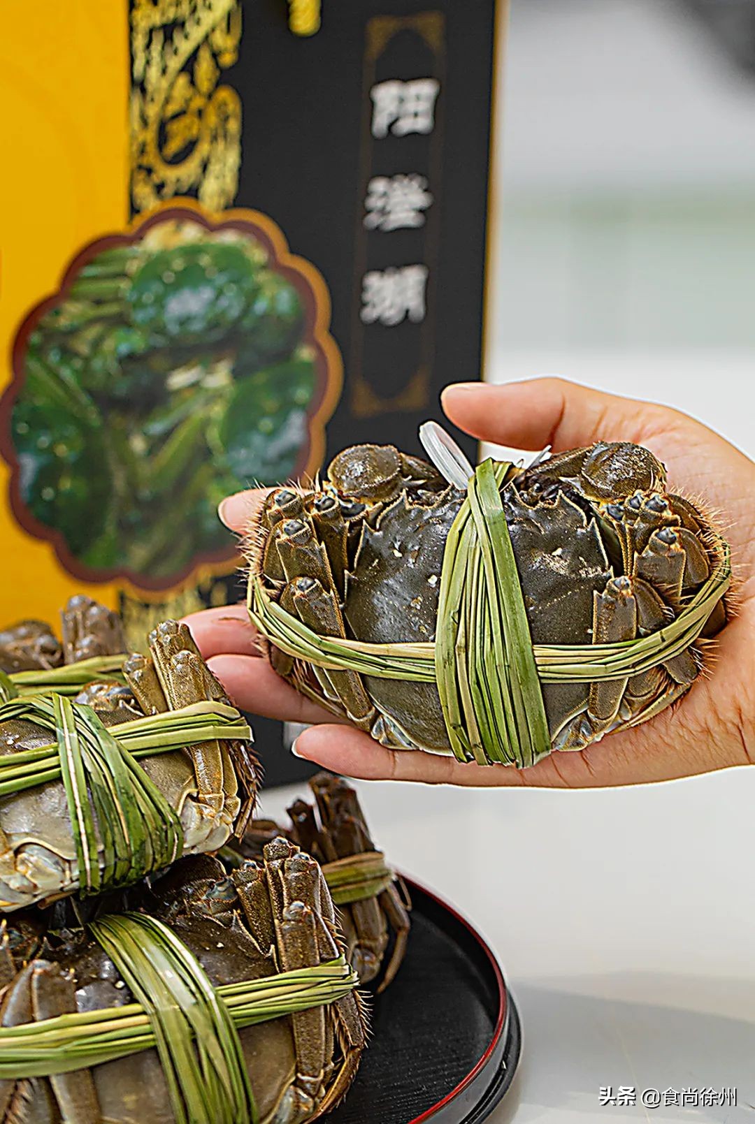 吃阳澄湖大闸蟹地方,吃阳澄湖大闸蟹的最佳地方在哪