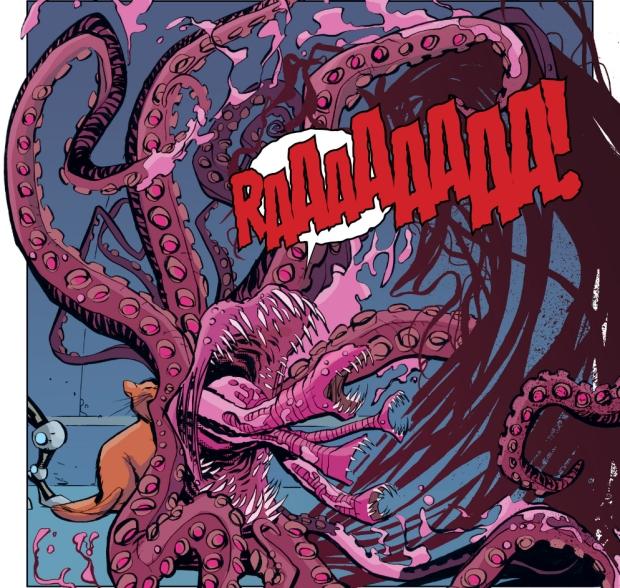 惊奇队长奇异猫,惊奇队长橘猫是中华田园猫吗