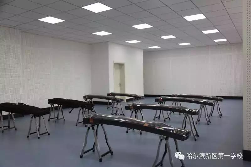 新区好学校,新区好的小学