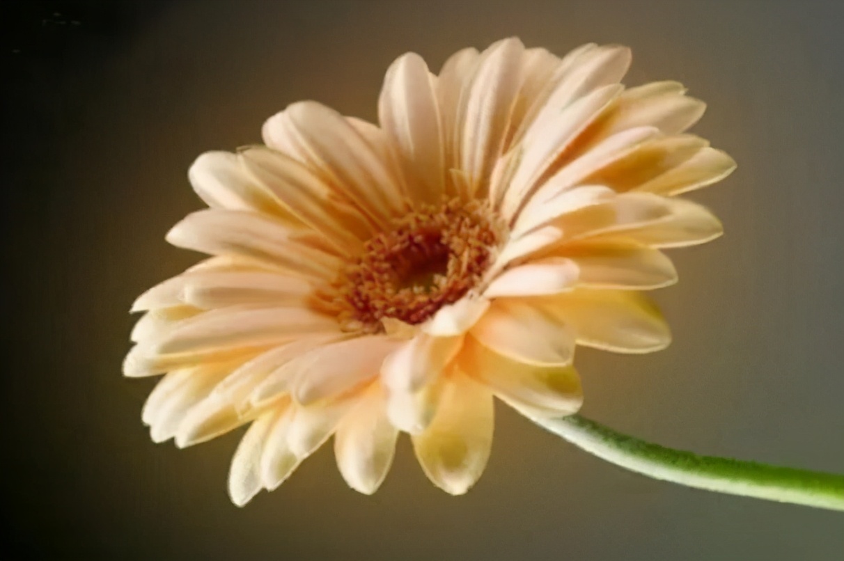 对不起我们不要联系了怎么回复,对不起我们不要再联系了句子