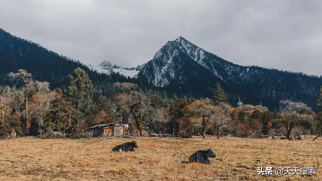 中国旅游最美雪山,中国最美雪山旅游