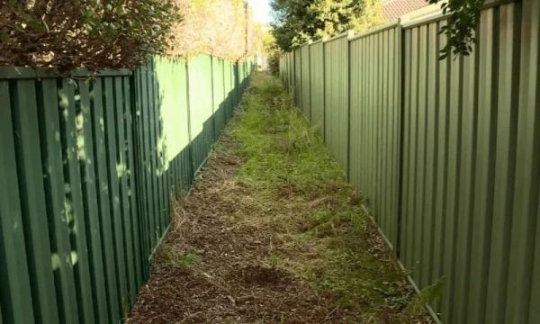 悉尼一不到3米宽土地以6.9万澳元出售！拍卖广告：请充分发挥你的想象力