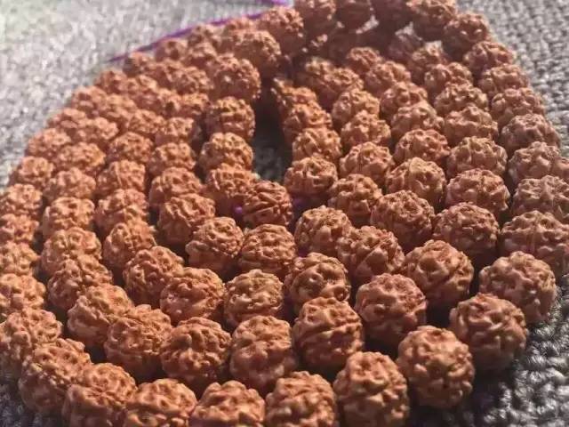 小金刚菩提鉴定视频,小金刚菩提的真假鉴别