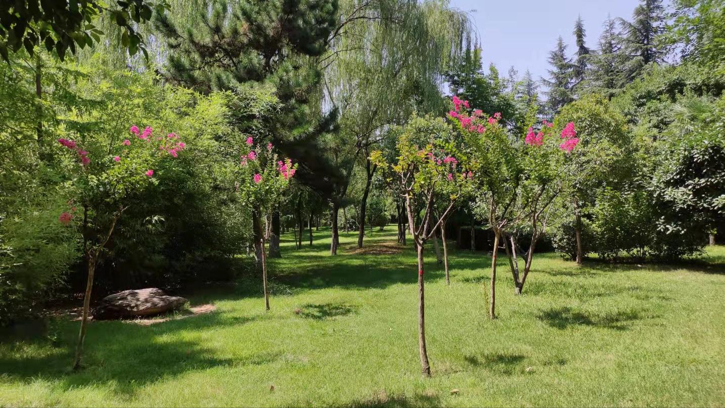 新华字典现代汉语词典,新华字典和现代汉语词典的区别