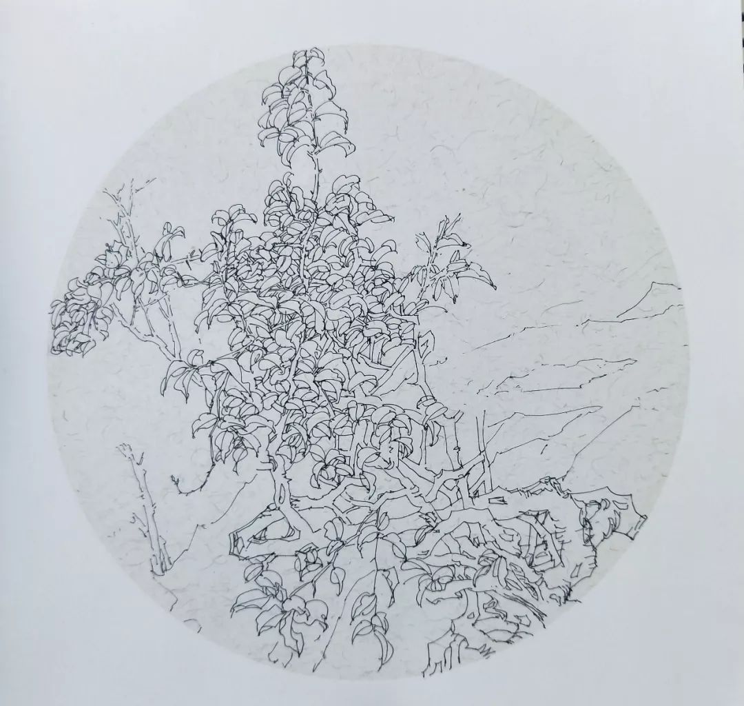 袁金奎老师国画作品欣赏,袁金奎写意花鸟画作品