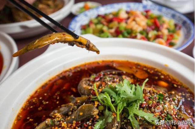 藕田养的泥鳅多少钱一斤,泥鳅养殖技术一亩多少钱