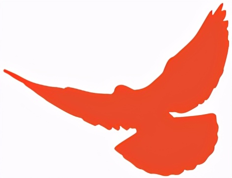 学党史知党恩征文个人,学党史知党史征文500字