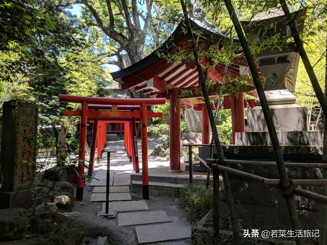 热海温泉和荷花温泉哪个好,日本三大温泉旅游攻略