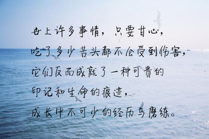 你是我无法企及的梦下一句,你是我不可触碰的梦句子