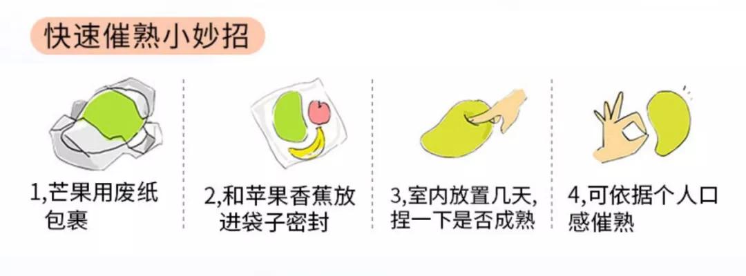 在所有芒果中哪一种芒果最好吃,最好吃芒果是什么芒果