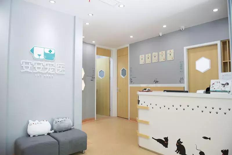 安安宠医罗湾路分院,安安宠医2019