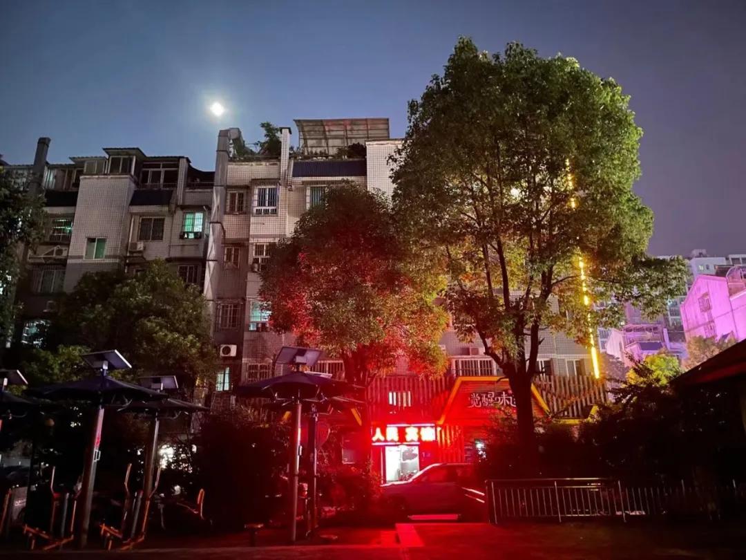 神仙打架后续,神仙打架众仙归位