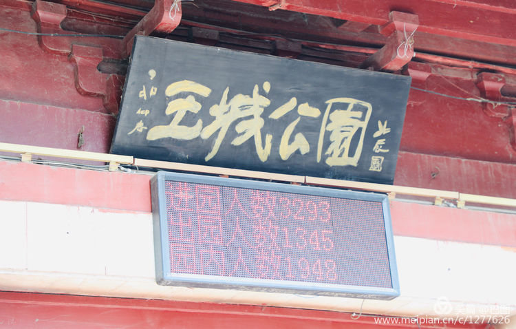 看洛阳牡丹花卉节,洛阳古都牡丹花展