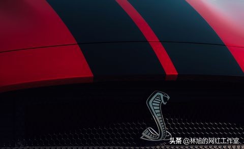 野马赛车条纹,福特野马shelbygt500