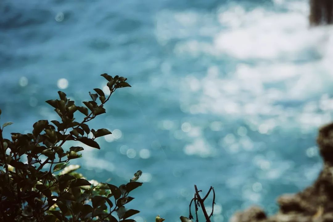 去济州岛吃海鲜贵吗,去韩国吃炸鸡多少钱