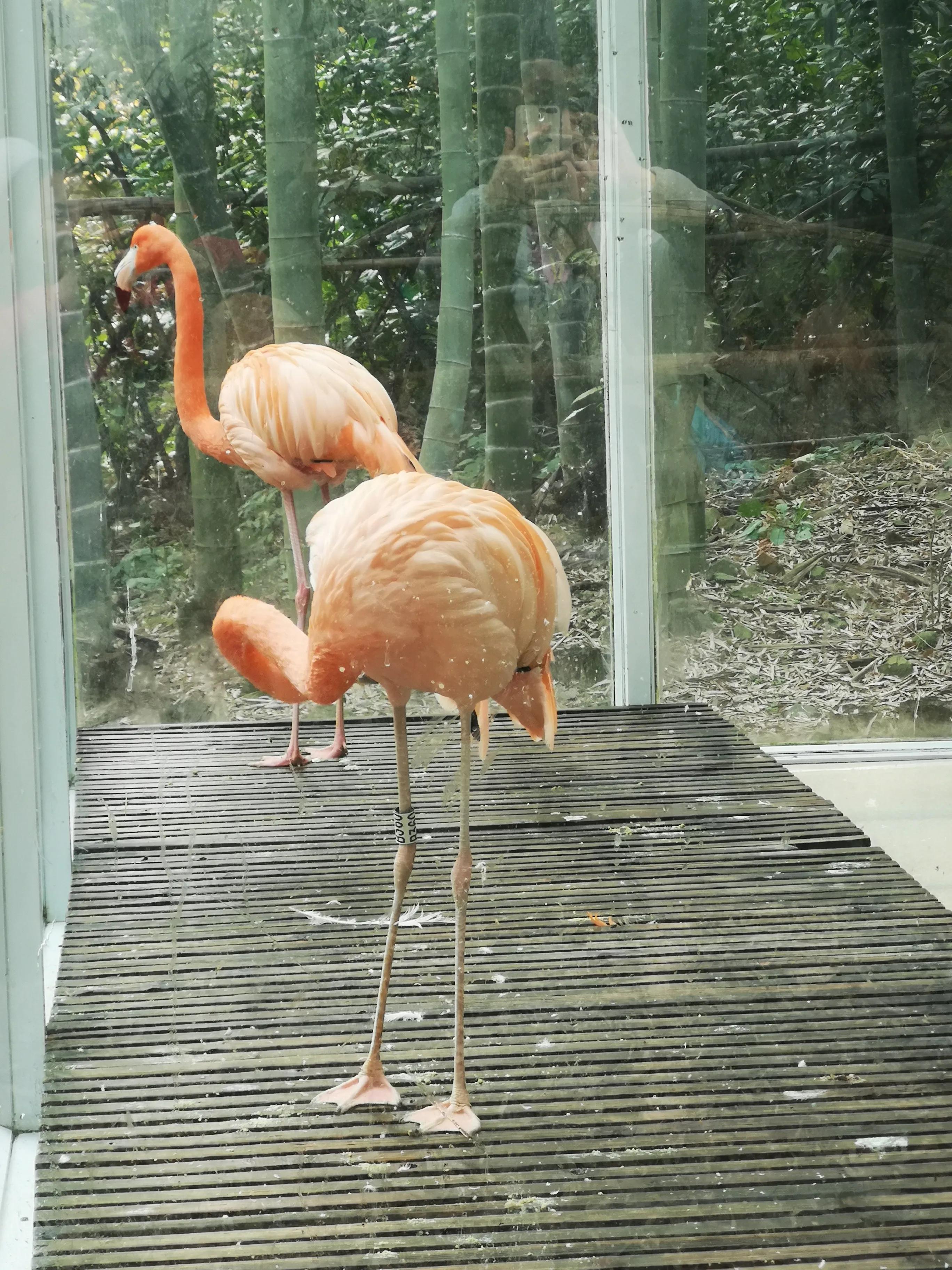 溧阳南山竹海小鸟天堂,宜兴南山竹海和溧阳南山竹海