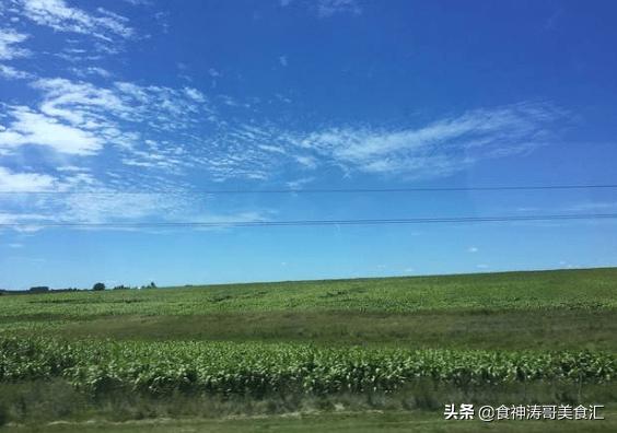 乌拉圭人平时最爱喝什么茶,乌拉圭人吃什么