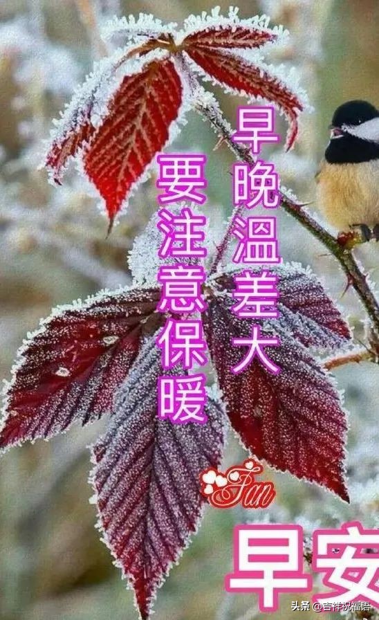 清晨最美的早上好问候祝福语图片,超漂亮的早上好祝福语图片精选