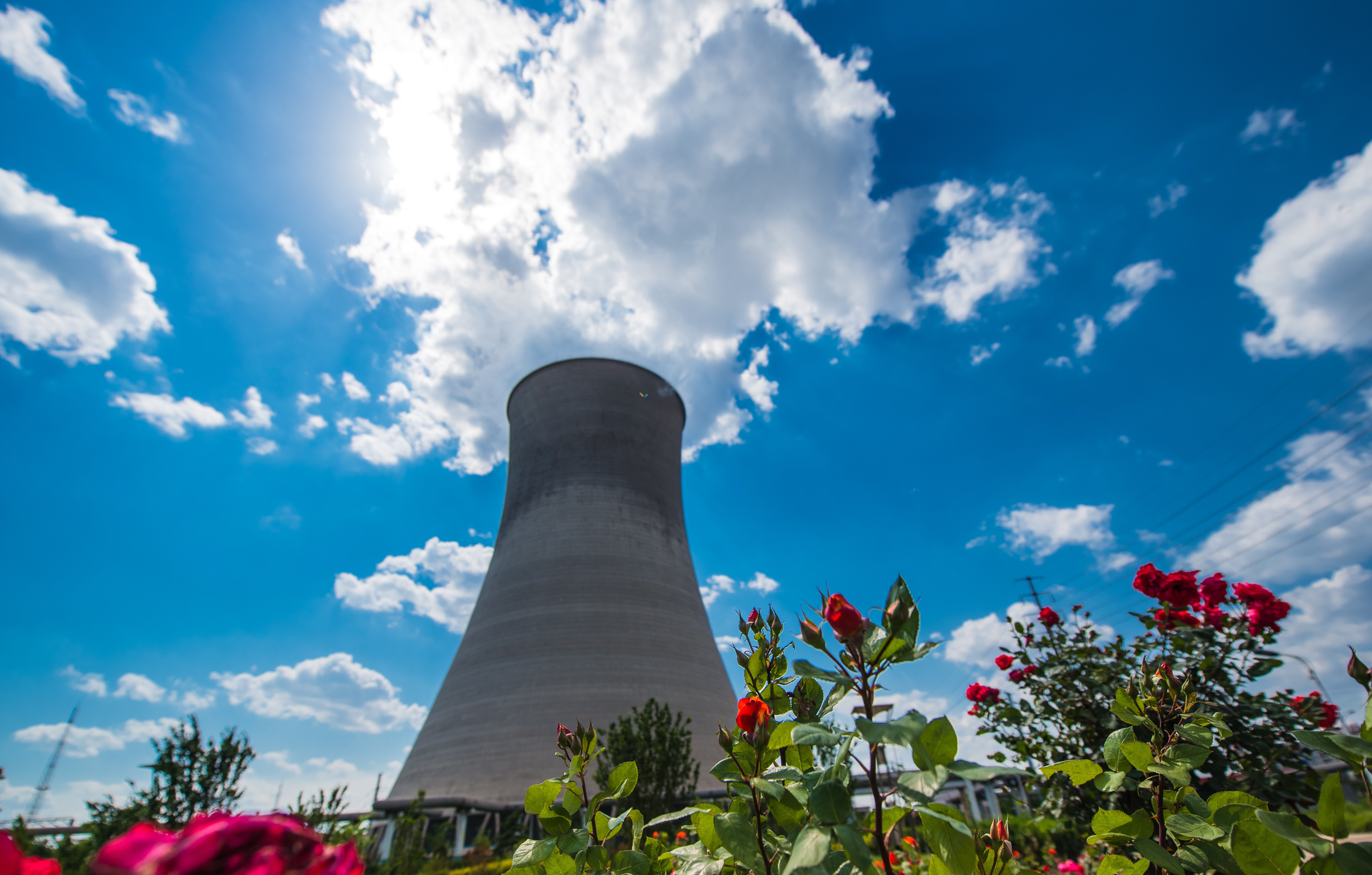 父母生病可以为父母做些啥,面对重病的父母我们应该怎么做