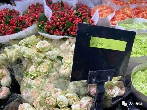 可以逛的花卉市场,值得去看的花卉市场