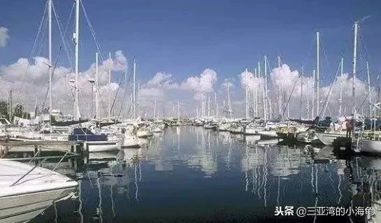 我叫塞浦路斯，这是我的名片，请您收好！