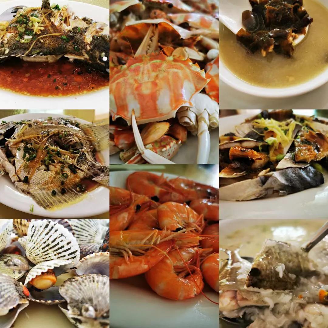 美丽的澳洲风情,美丽的东澳岛