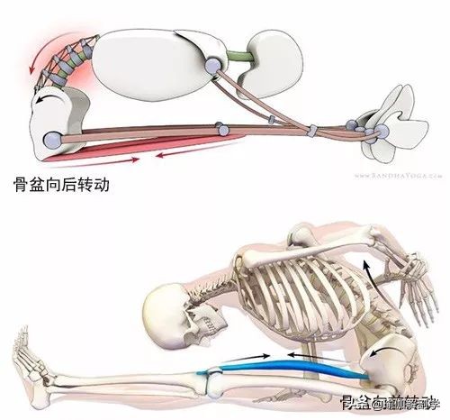 练瑜伽不会盘腿怎么办,练瑜伽髋不正位怎么办
