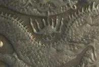 云南民间哪里的银元最多,云南的哪些银元比较值钱