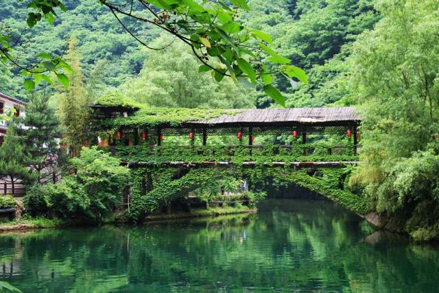 商洛市牛背梁景区介绍,商洛牛背梁旅游景点高清图片