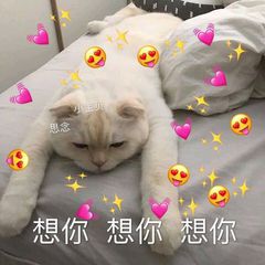 500页word怎么删除,删除word空白5页教程