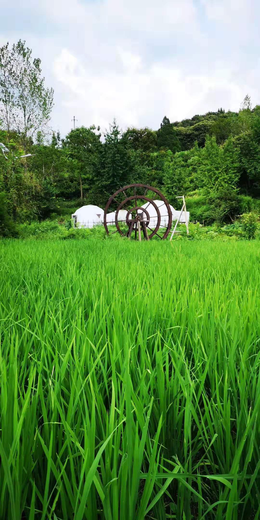 新县西河湾住宿推荐,西河湾星空帐篷酒店