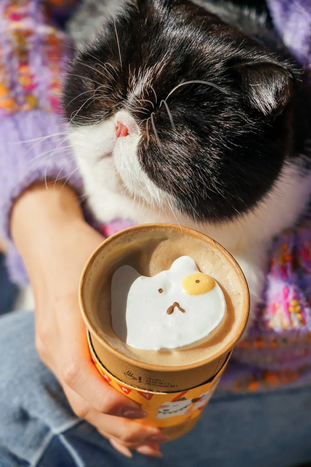 限量200万份，快来麦咖啡认领你的「专属萌宠」