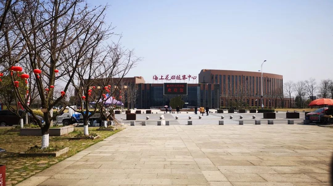 绍兴杭州湾海上花田100万郁金香等你来赏来赴一场春天的约会。