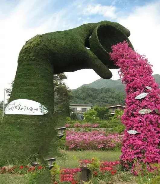 太壮观了动态图片,太壮观了的图片