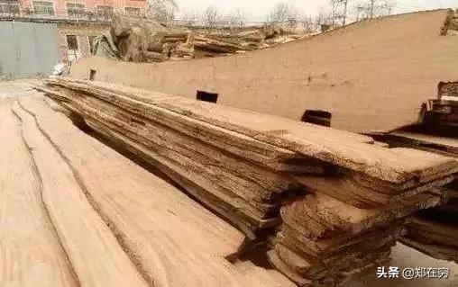 带你认识两种实木家具榫卯结构,带你认识100种鸟