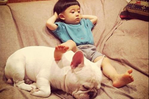 狗狗身上有皮屑还掉毛怎么回事,狗狗身上掉毛秃了一块用什么药