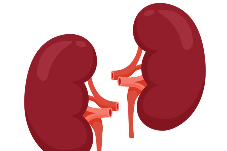 肝癌免疫治疗会出现afp升高吗 (肝癌抗肿瘤药的不良反应有哪些)