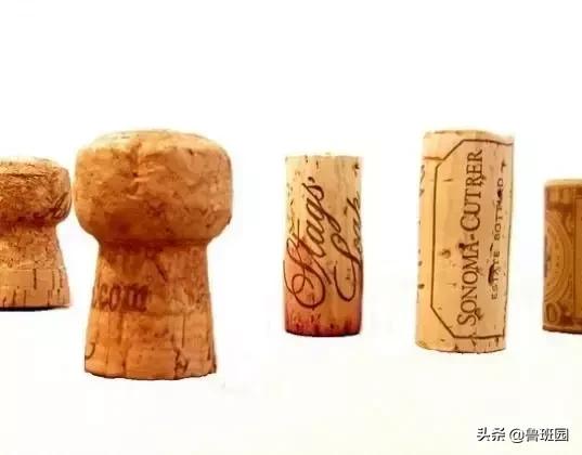 橡木种类大全及图片,史上最专业橡木介绍快来收藏吧