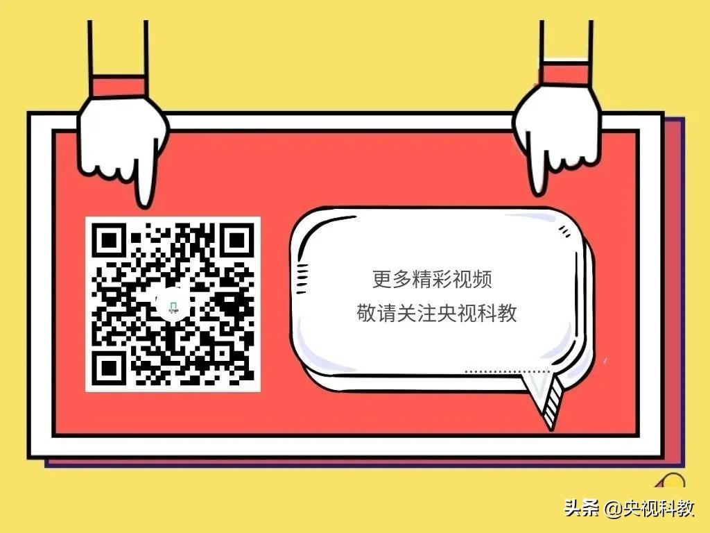 陈皮的十大秘密,陈皮是怎么变黄金