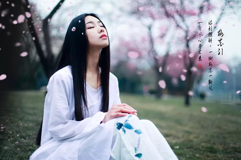 梦里花落知多少24集,梦里花落知多少