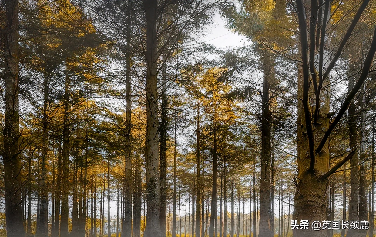 英国秋天好去处,英国秋天旅游必去的地方