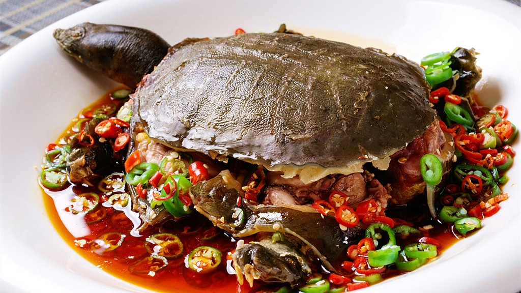 甲鱼做得香不香，关键是在宰杀的步骤上，学会了宰杀怎么做都香