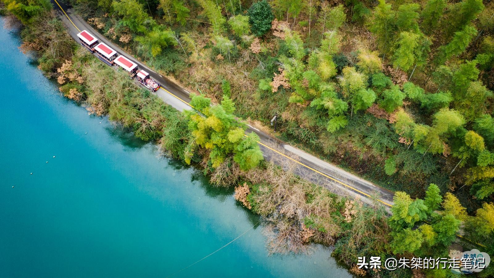 中国最大最好的竹海是哪里,中国最大竹海面积104万亩