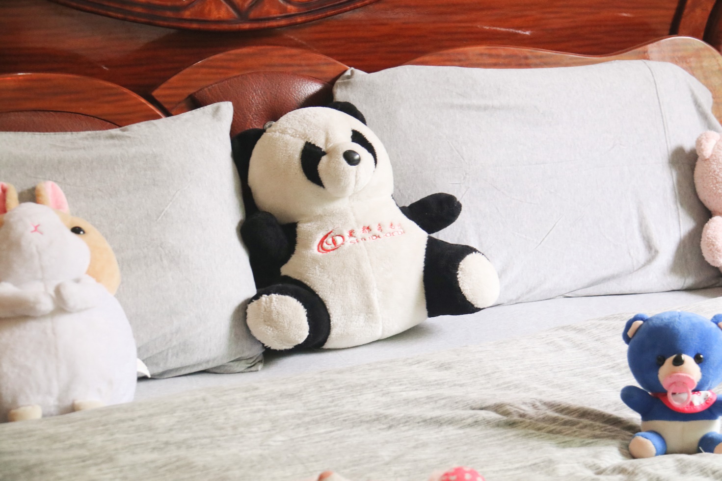 polo针织套装,睡眠辅助设备有哪些